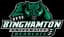 Binghamton Bearcats logo