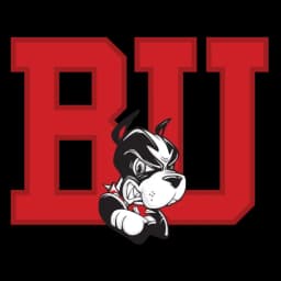 Boston Terriers logo