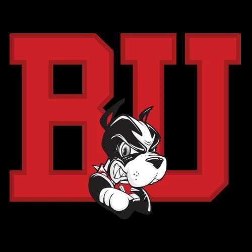 Boston Terriers logo