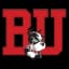 Boston Terriers logo