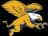 Canisius Golden Griffins logo