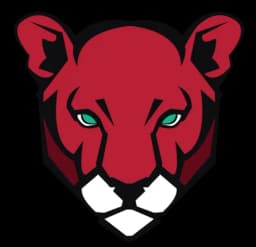 Houston logo