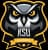 Kennesaw State Owls logo