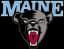 Maine Black Bears logo