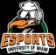 Miami Hurricanes logo