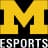Michigan Wolverines logo