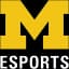 Michigan Wolverines logo