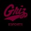 Montana Grizzlies logo