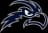 North Florida Ospreys logo