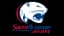 South Alabama Jaguars logo