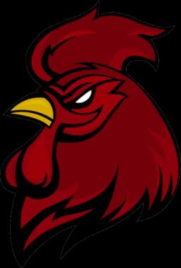 South Carolina Gamecocks logo