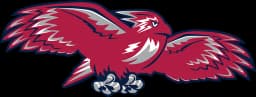 St Johns Red Storm logo