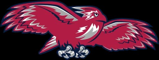 St Johns Red Storm logo