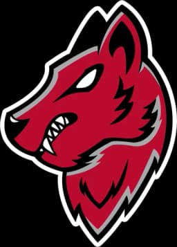 UNM Esports logo