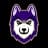 Washington Huskies logo