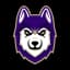 Washington Huskies logo