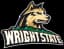 Wright State Raiders logo