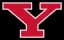 Youngstown State Penguins logo